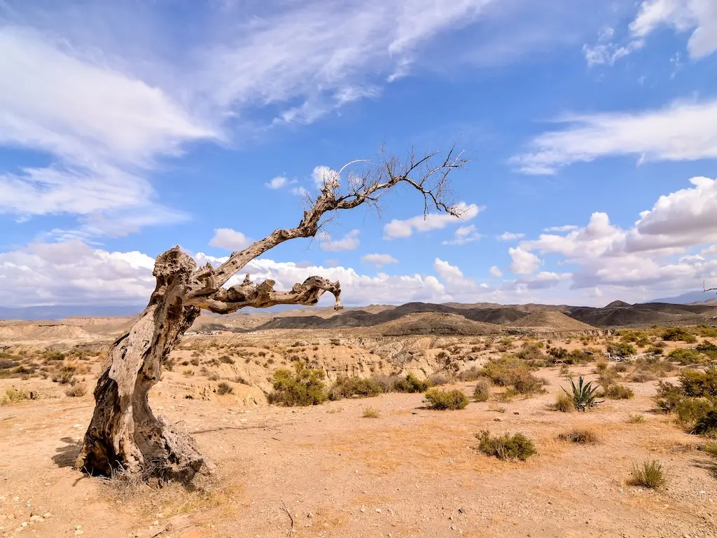 Tabernas Desert