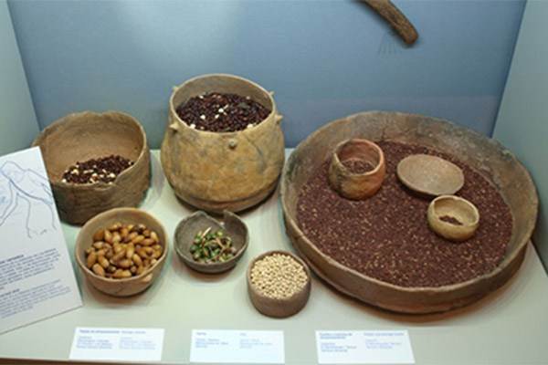 Almeria Museum Trade Goods