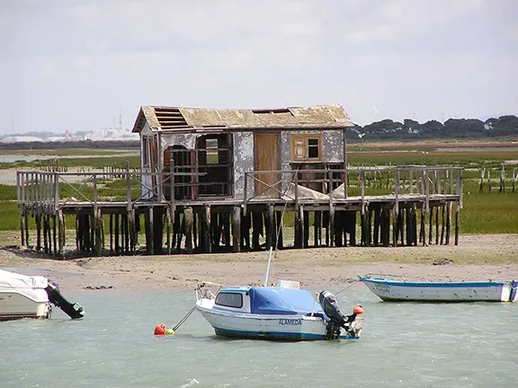 Bahía de Cádiz Parque Natural