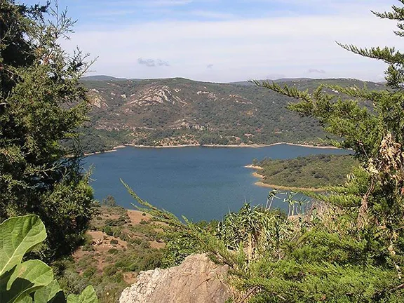 The View of the Reservoir, Castellar de la Frontera