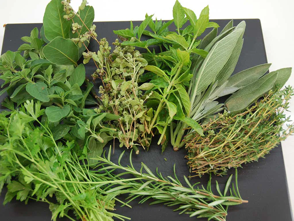 Cooking with home grown herbs