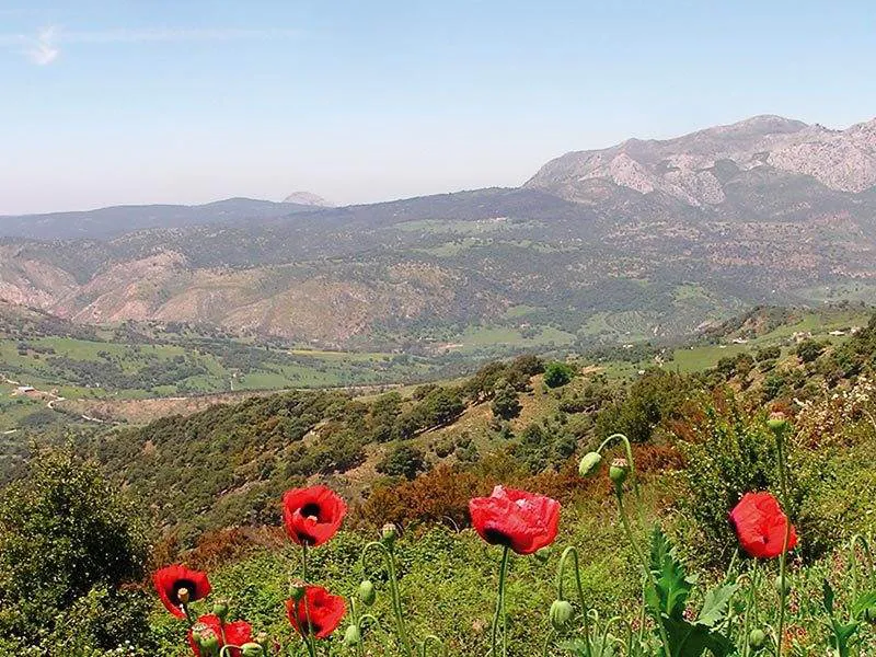 Rio Guadiaro Valley