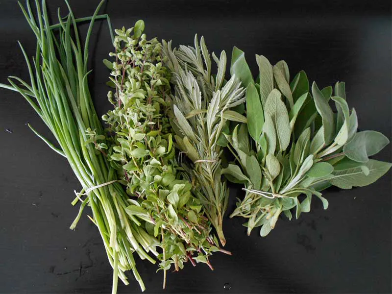 Chives, Marjoram, Tarragon, Sage