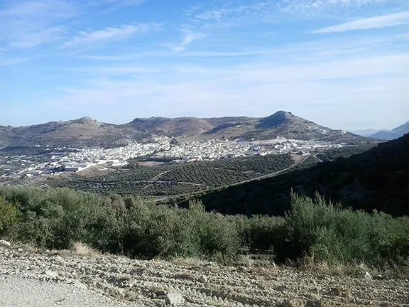 Dona Mencia Córdoba province in Andalucia