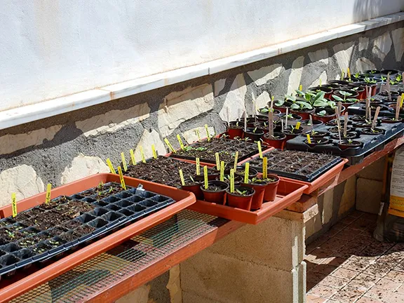 Seed Sowing Assembly Line