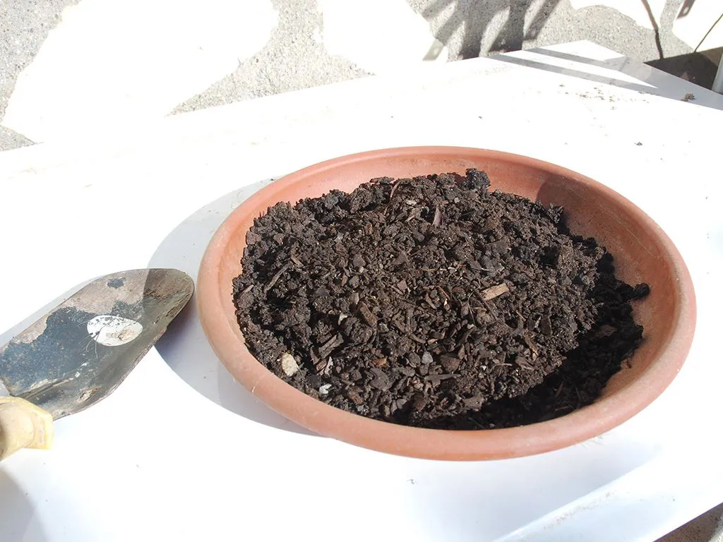 Homemade Compost