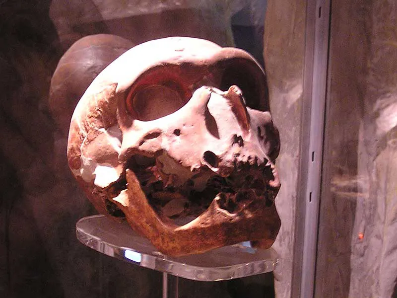 The Gibraltar Skull