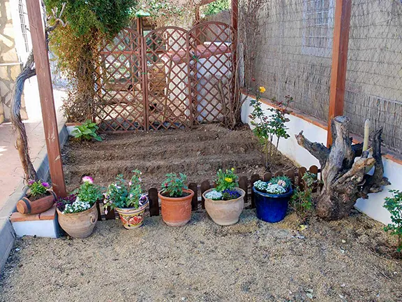 Making a start on the organic garden