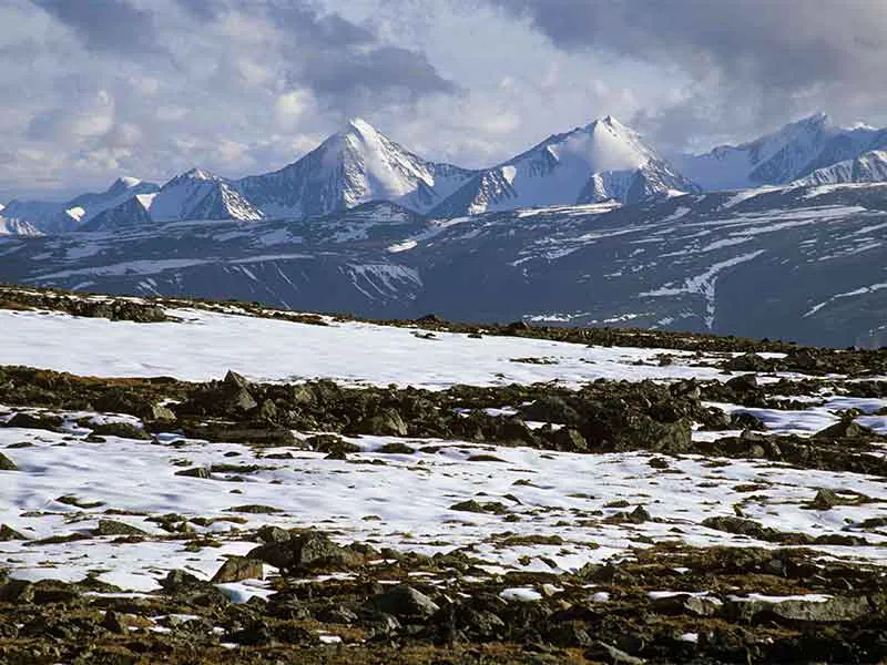 Tundra Landscape