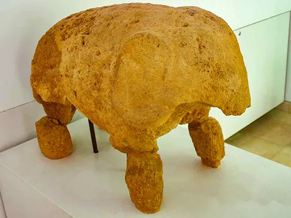 Elephant found in Tomb of the Elephant in the Roman Necropolis
