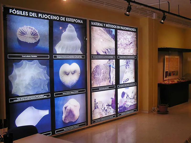 Paleontological Museum of Estepona