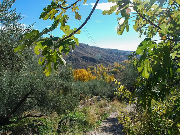 Sierra de Castril