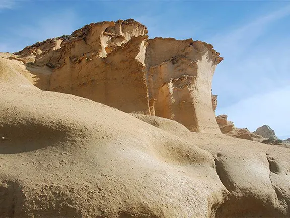 Petrified sandstone Playa de los Cocedores