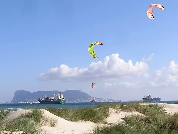 Kites over the Bay