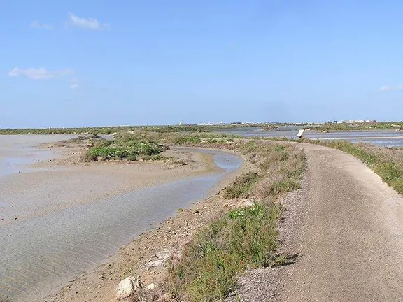 The Bahia de Cadiz