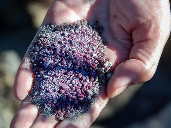 A Fistful of Garnets