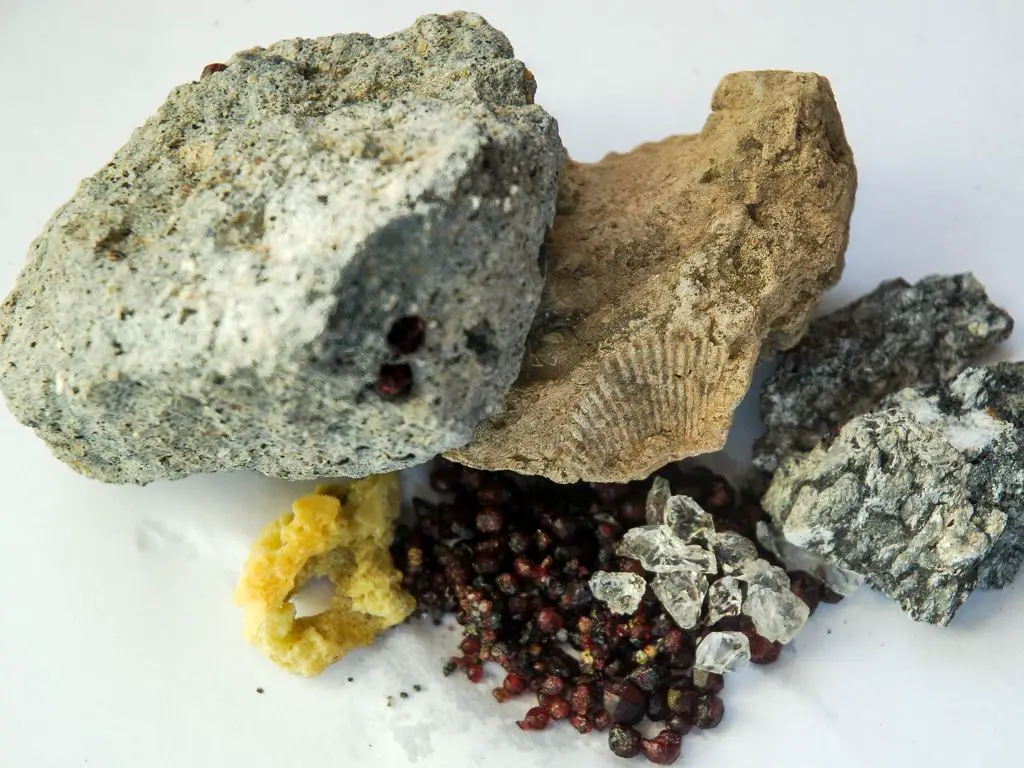 Rhyolite, Fossil Coral, Garnet and Sapphires