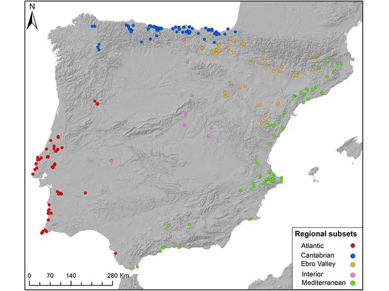 Last Hunter-Gatherer Sites in Iberia
