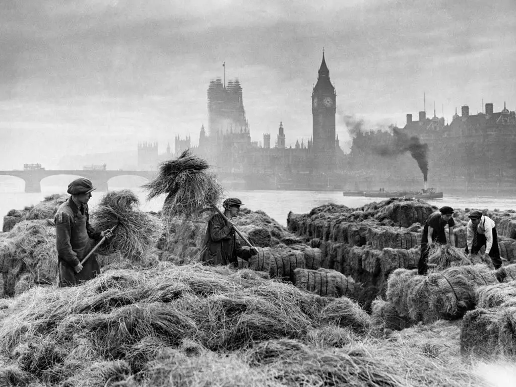Esparto grass arriving in London c 1921