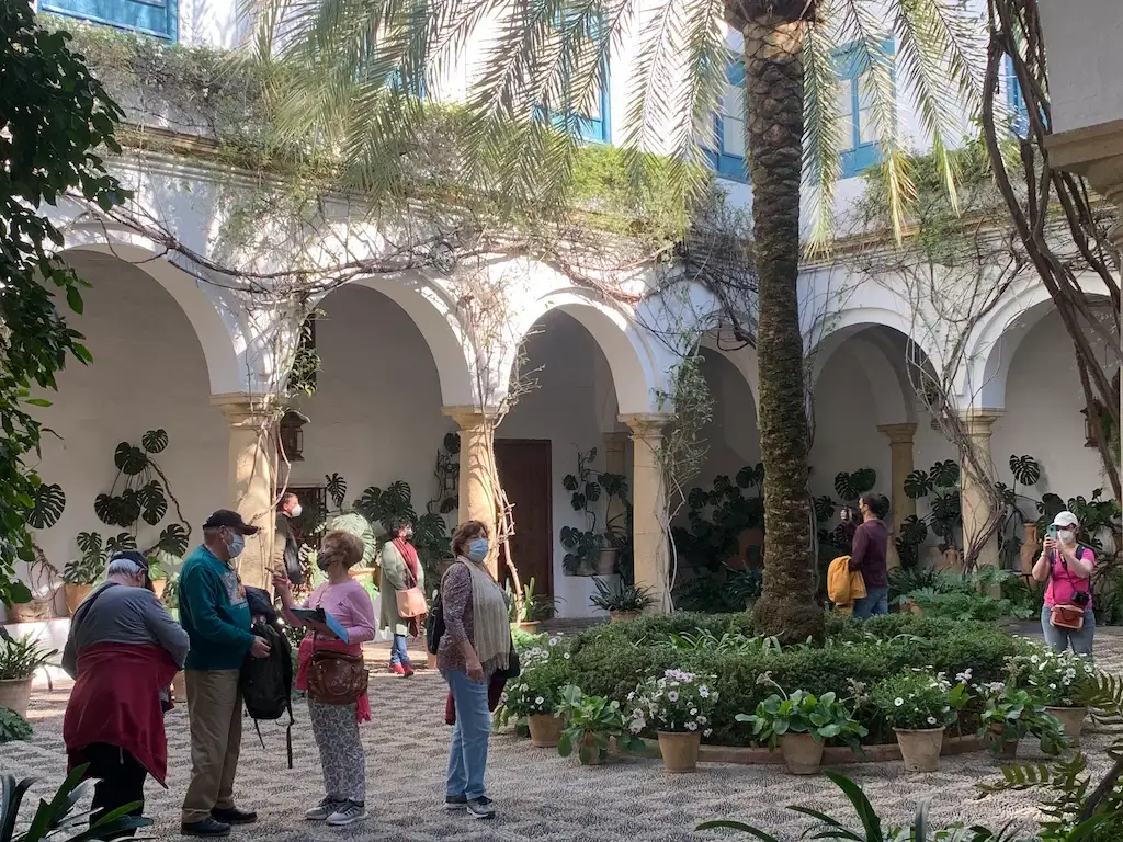 A beautiful patio in Palacio Viana