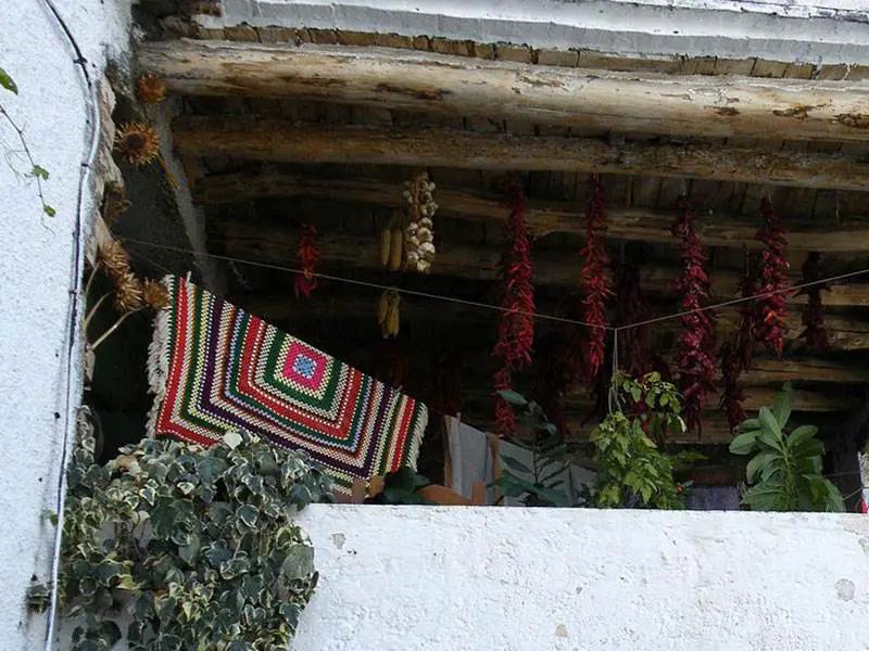 Drying peppers, tomatoes and garlic for the winter