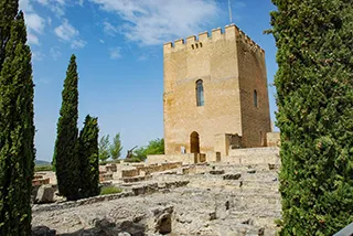 Torre at Fortaleza de la Mota
