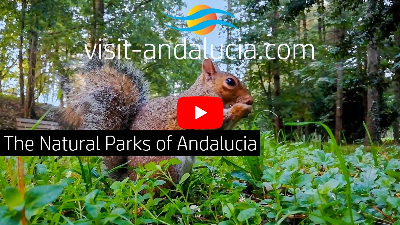 The National Parks of Andalucia